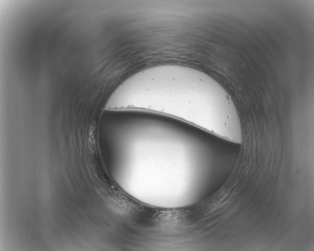 X0000061150127200511181043