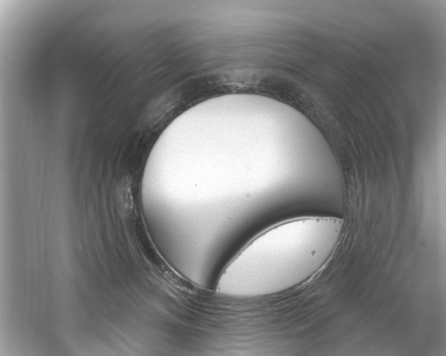 X0000061150128200511181043