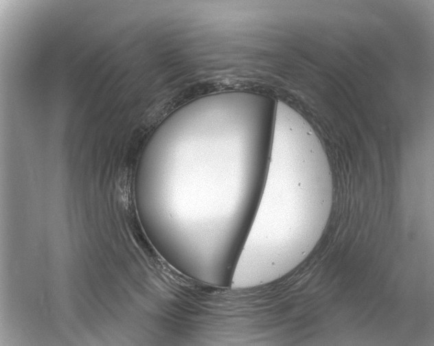 X0000061150129200511181043