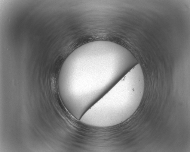 X0000061150130200511181043