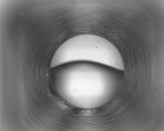 X0000061150131200511181043