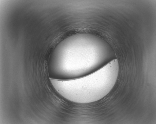 X0000061150133200511181043