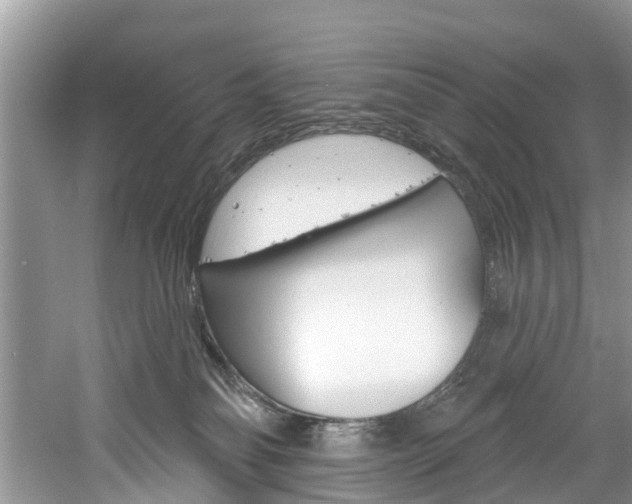 X0000061150134200511181043