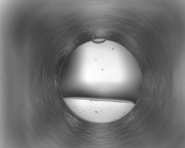 X0000061150135200511181043