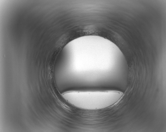 X0000061150136200511181043