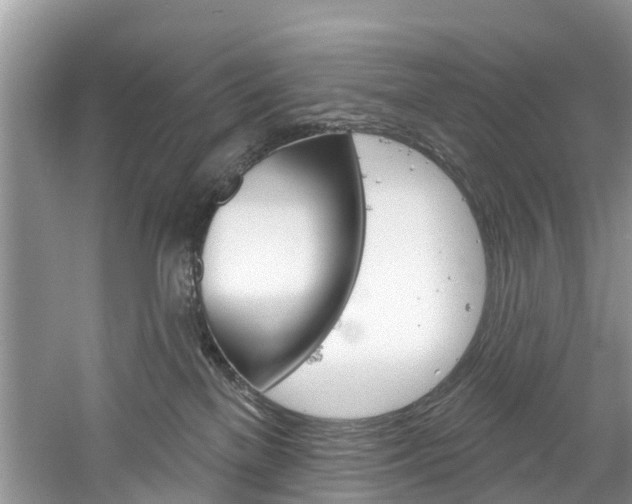 X0000061150137200511181043