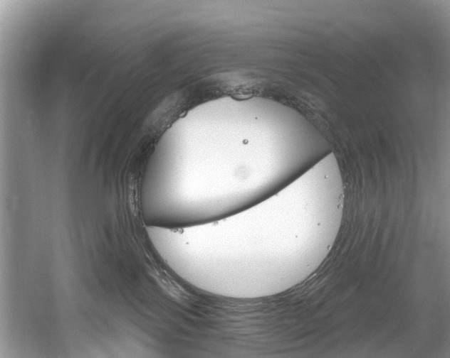 X0000061150138200511181042