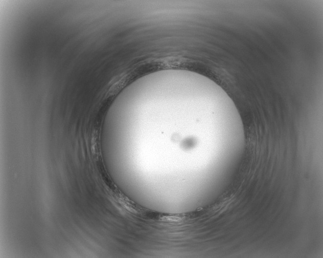 X0000061150139200511181042