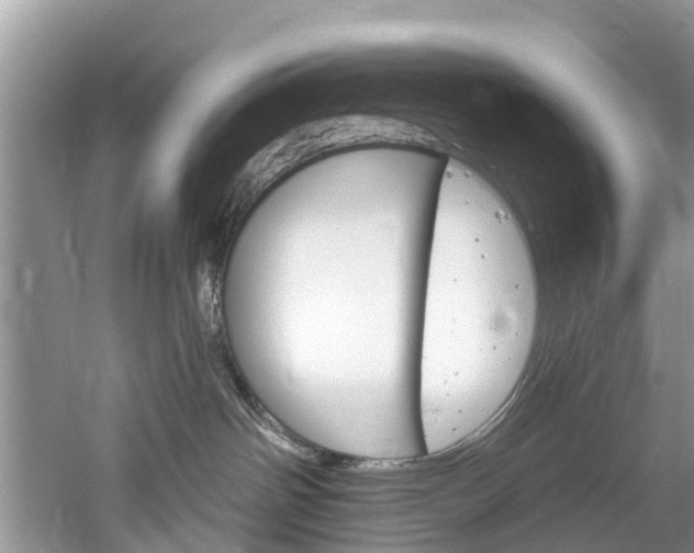 X0000061150142200511181042