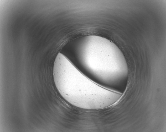 X0000061150144200511181042