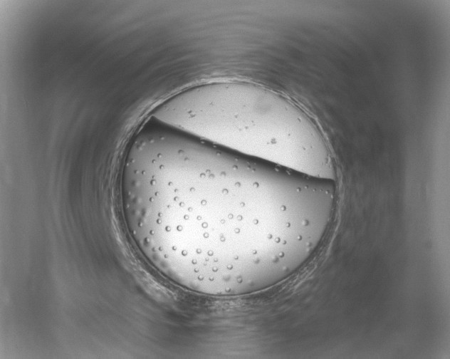 X0000061150145200511181042