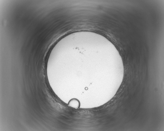 X0000061150146200511181042