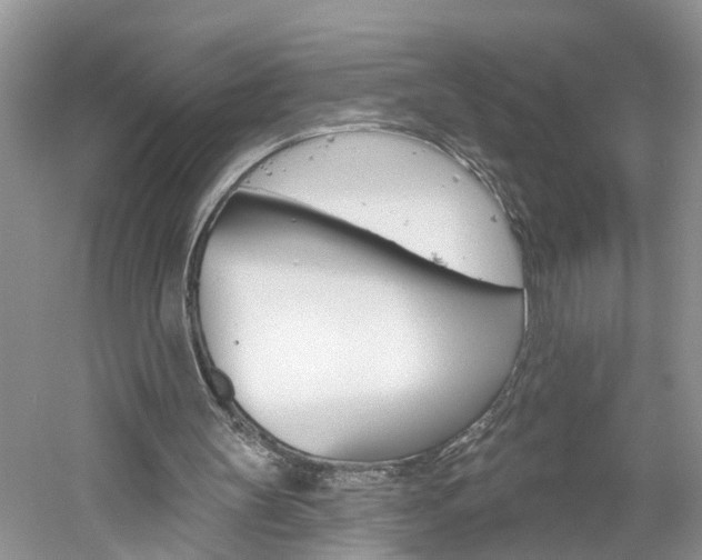 X0000061150147200511181042