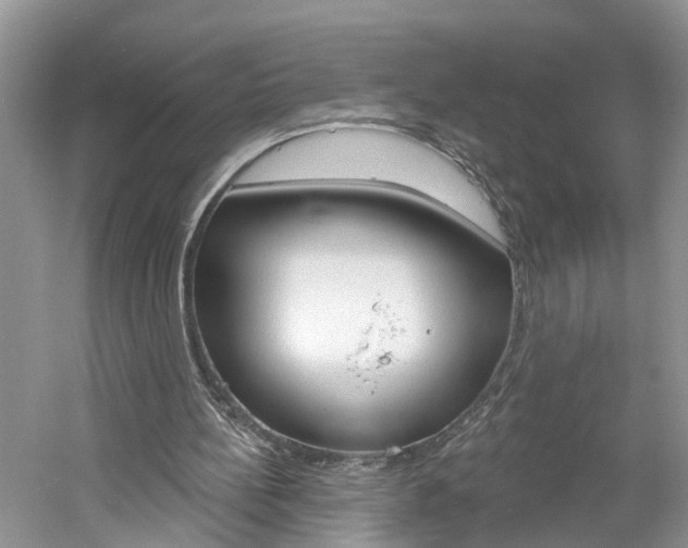 X0000061150148200511181042