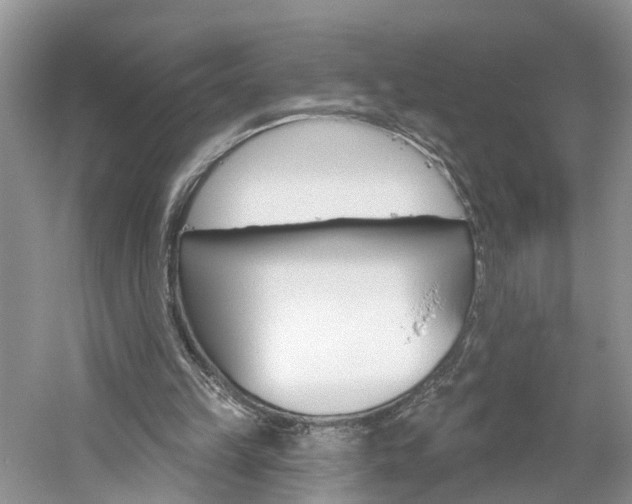 X0000061150149200511181042