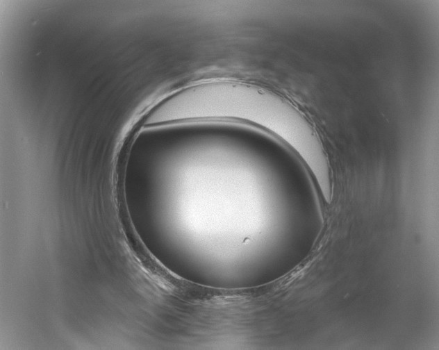 X0000061150150200511181042