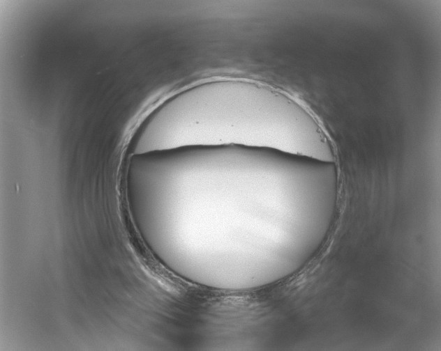 X0000061150151200511181042