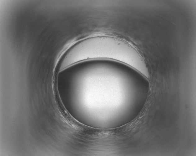 X0000061150152200511181042