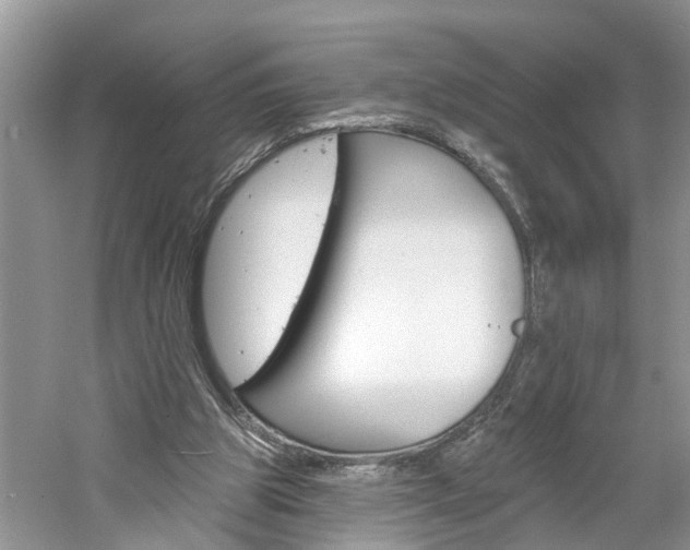 X0000061150153200511181042