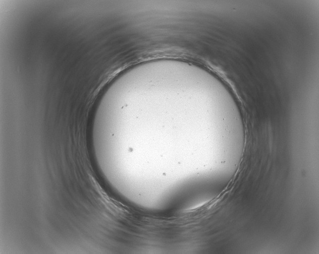 X0000061150154200511181042