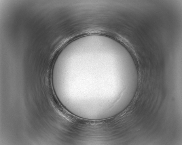 X0000061150155200511181042