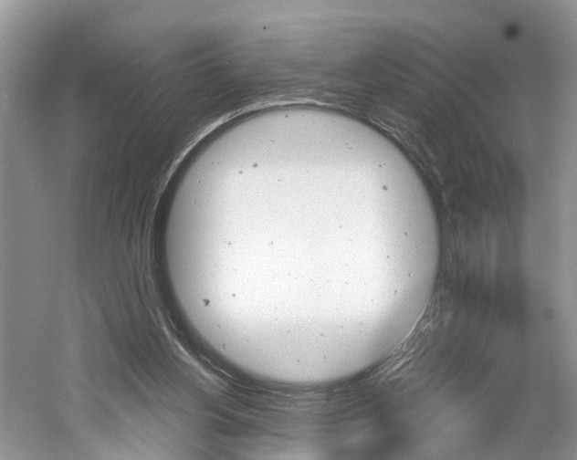 X0000061150156200511181042