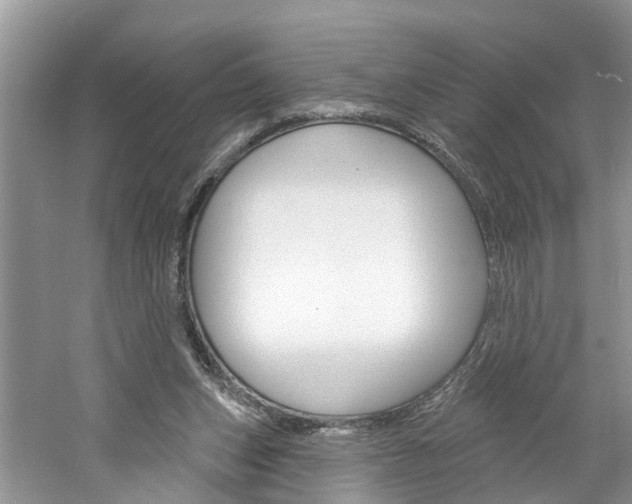 X0000061150159200511181042