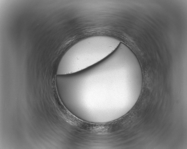 X0000061150161200511181042