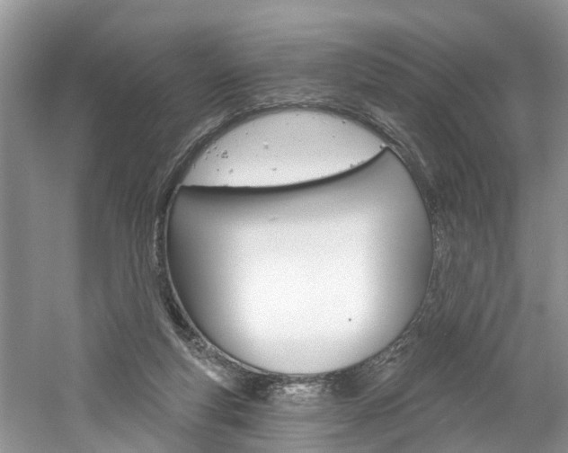 X0000061150163200511181042