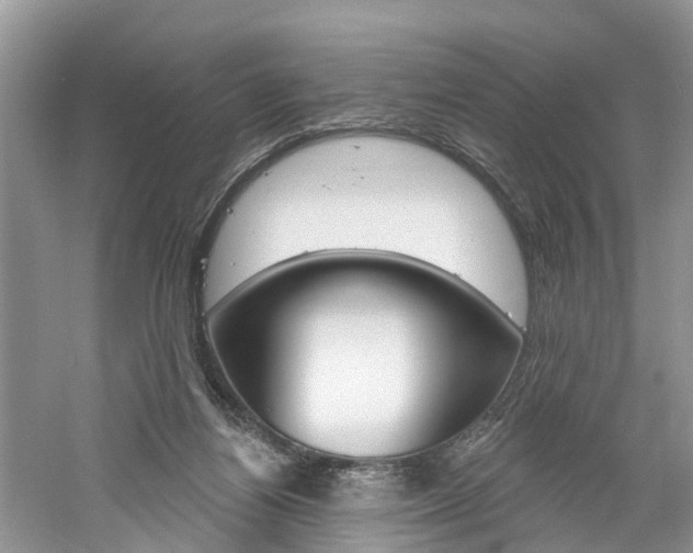 X0000061150164200511181042