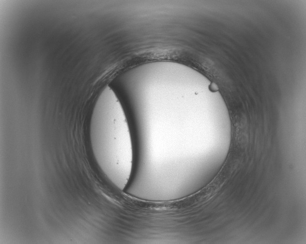 X0000061150165200511181042