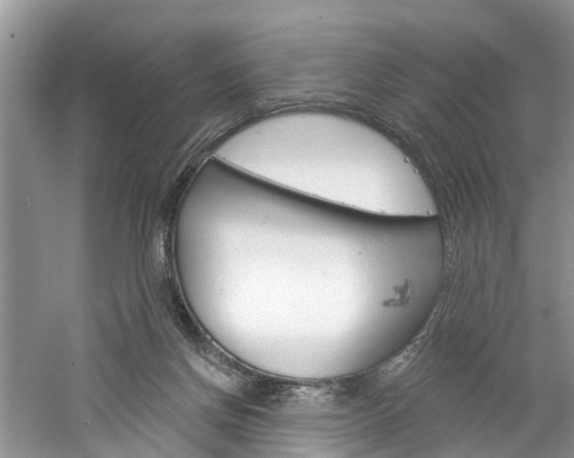 X0000061150166200511181042