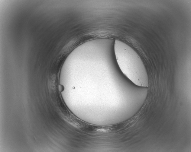 X0000061150167200511181042