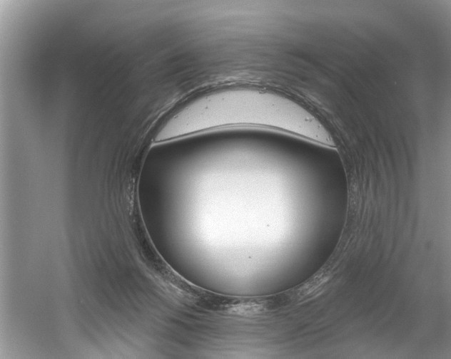 X0000061150168200511181042