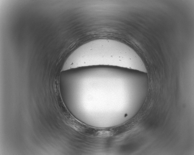 X0000061150169200511181042