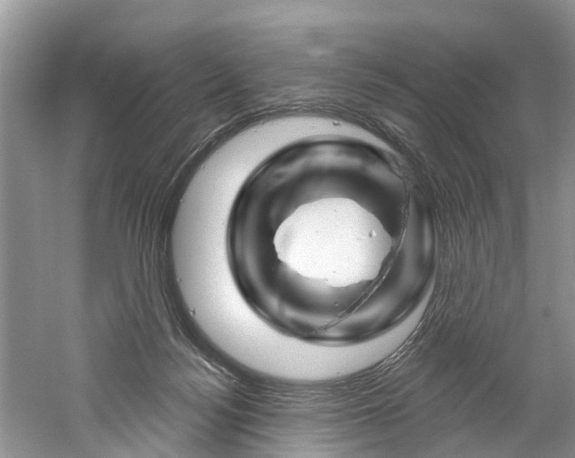 X0000061150172200511181042