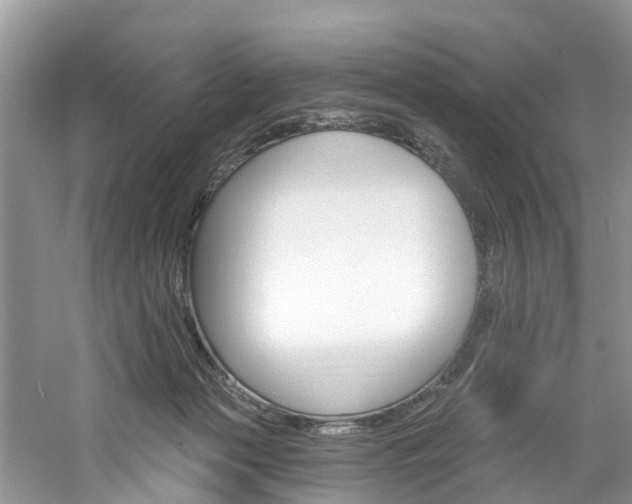 X0000061150173200511181042