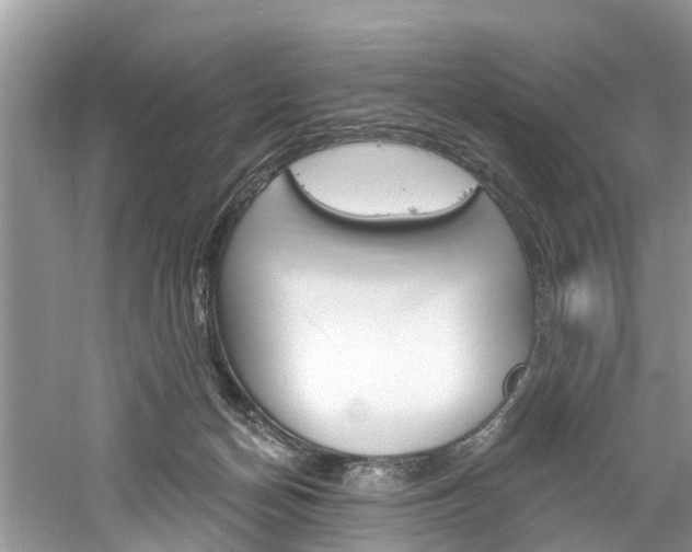 X0000061150174200511181042