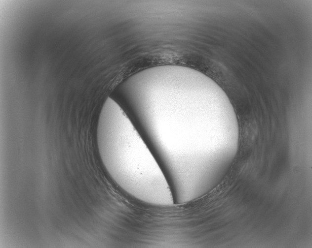 X0000061150177200511181042