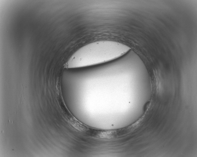 X0000061150178200511181042