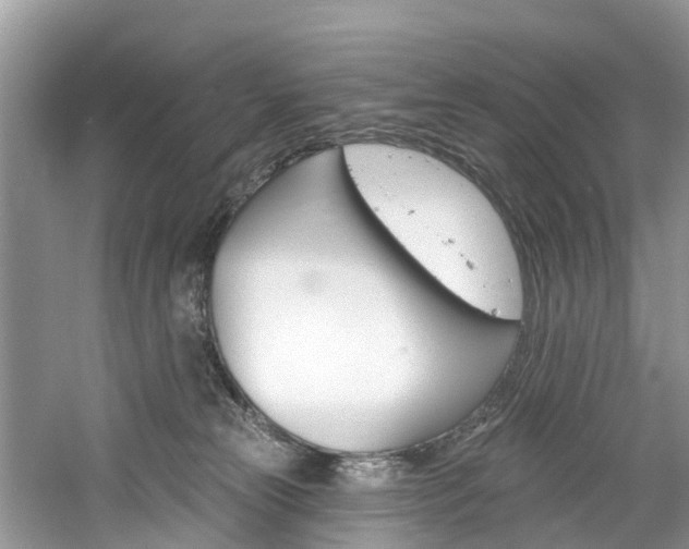 X0000061150181200511181042