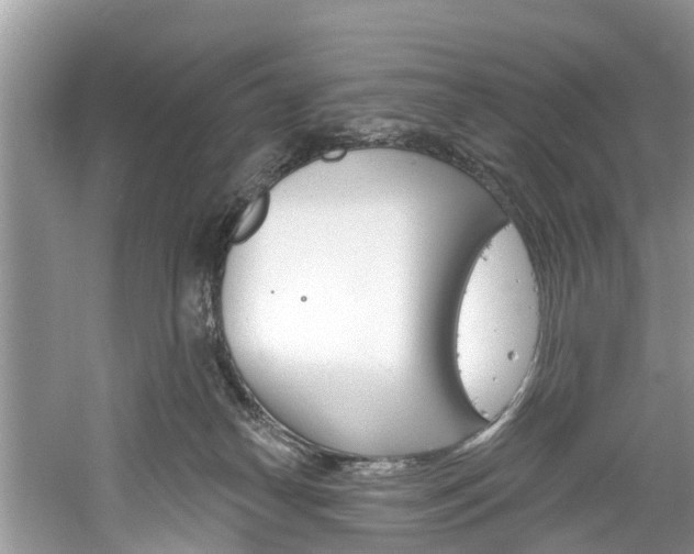 X0000061150182200511181042