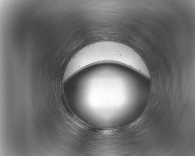 X0000061150184200511181042