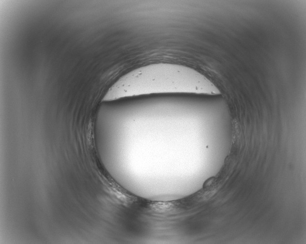 X0000061150189200511181042