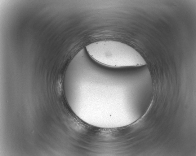 X0000061150190200511181042