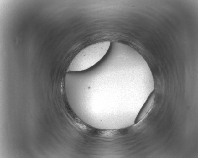 X0000061150191200511181042