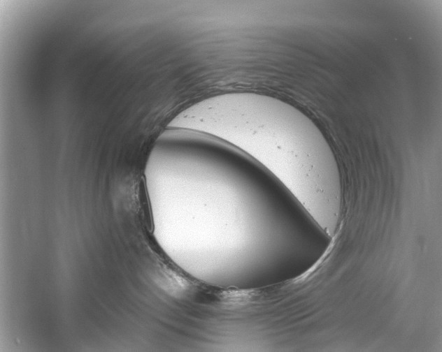 X0000061150192200511181042