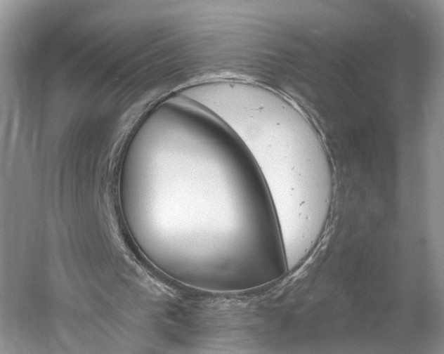 X0000061150193200511181042