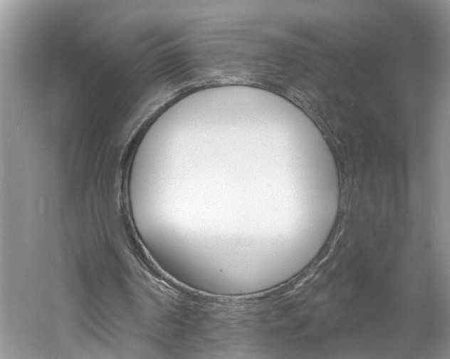 X0000061150194200511181042