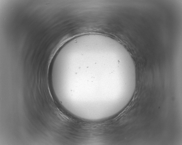 X0000061150195200511181042